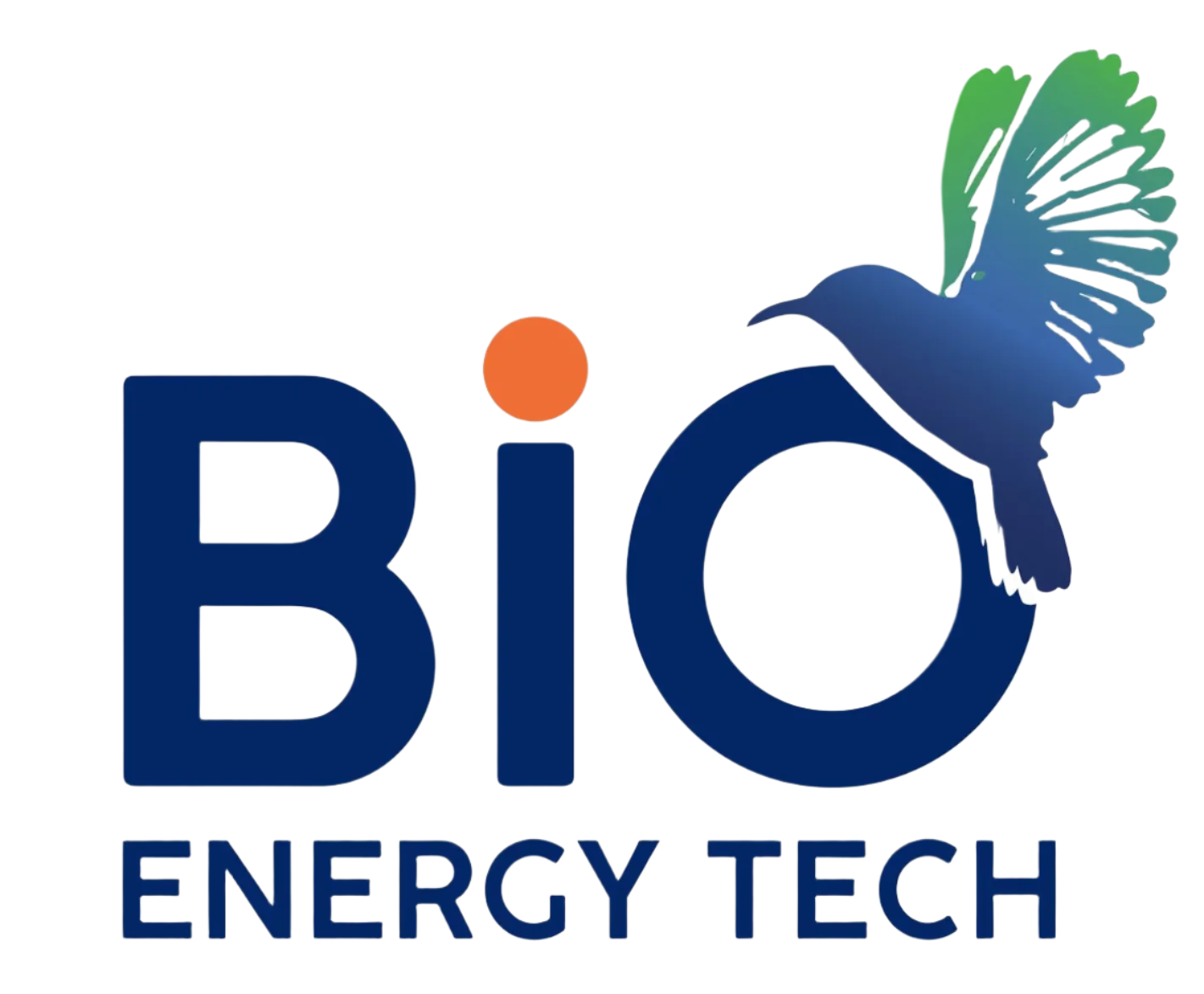 BIO ENERGY TECH  BioBoost 60 Tablets